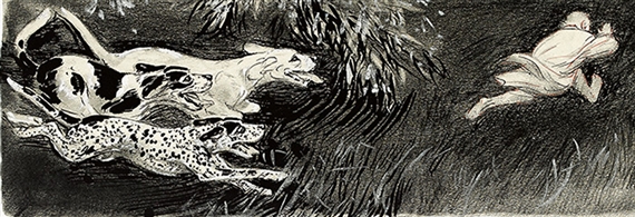 Dogs and More Dogs - Diana Moreira Duarte