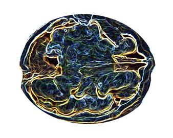 The Consilience of Art and Science: A Juried Exhibit - Pence Gallery