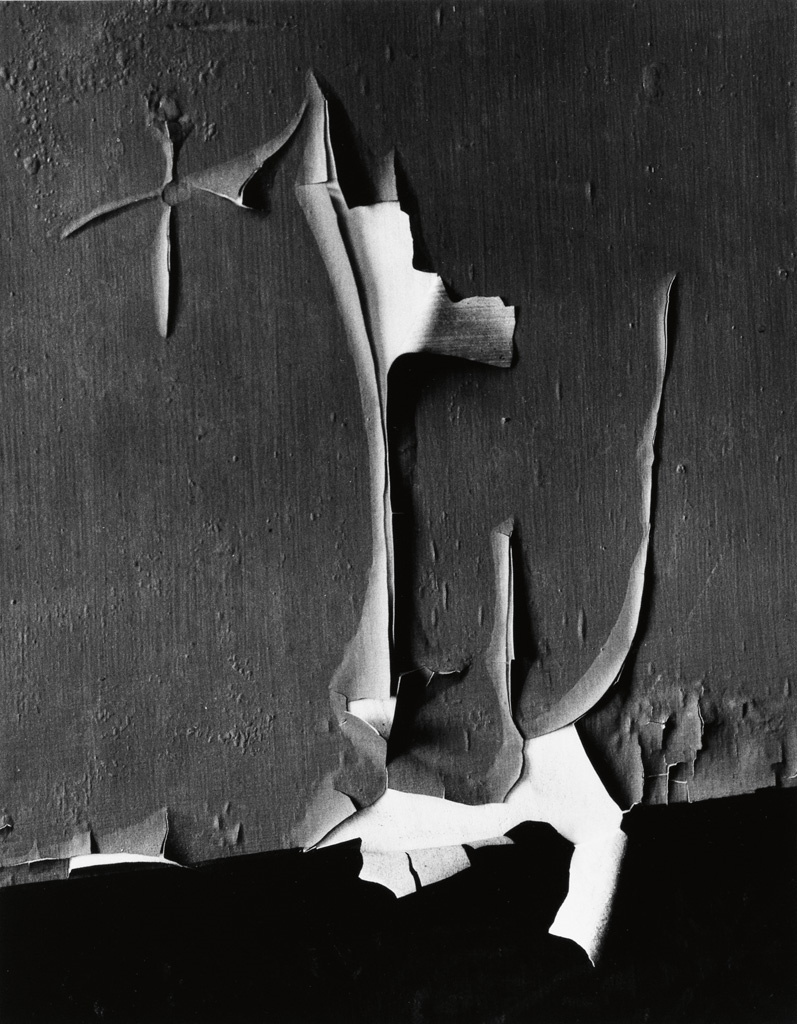 Minor White | Peeled Paint, Rochester, New York (1959) | MutualArt
