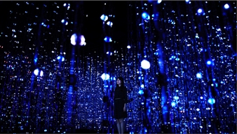 teamLab: Living Digital Space and Future Parks - Pace Menlo Park