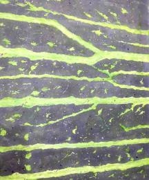 Omar Zeidan: A Different Spring - Salwa Zeidan Gallery