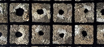 Rise and Shine  - Cristina Grajales