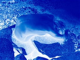 ‘Allez les Bleus’ at Galleri Bo Bjerggaard, Copenhagen
