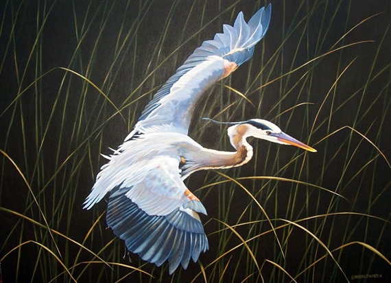 Flight by Addison Palmer