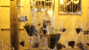 Group Exhibition: Dämmerschlaf - Artspace, Sydney