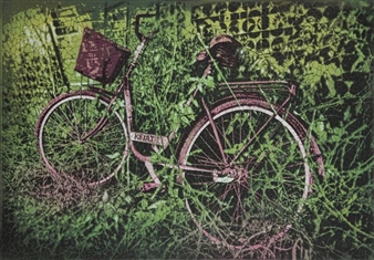 Rolshes - Damian Kwiatkowski