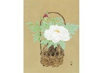 Artwork by Ashida Hiroaki, Peony, Made of Ink and color on paper