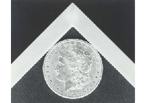 Silver Dollar by Robert Mapplethorpe, 1988