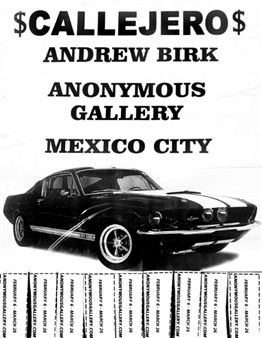 Andrew Birk: Callejero - Anonymous Gallery, Mexico City