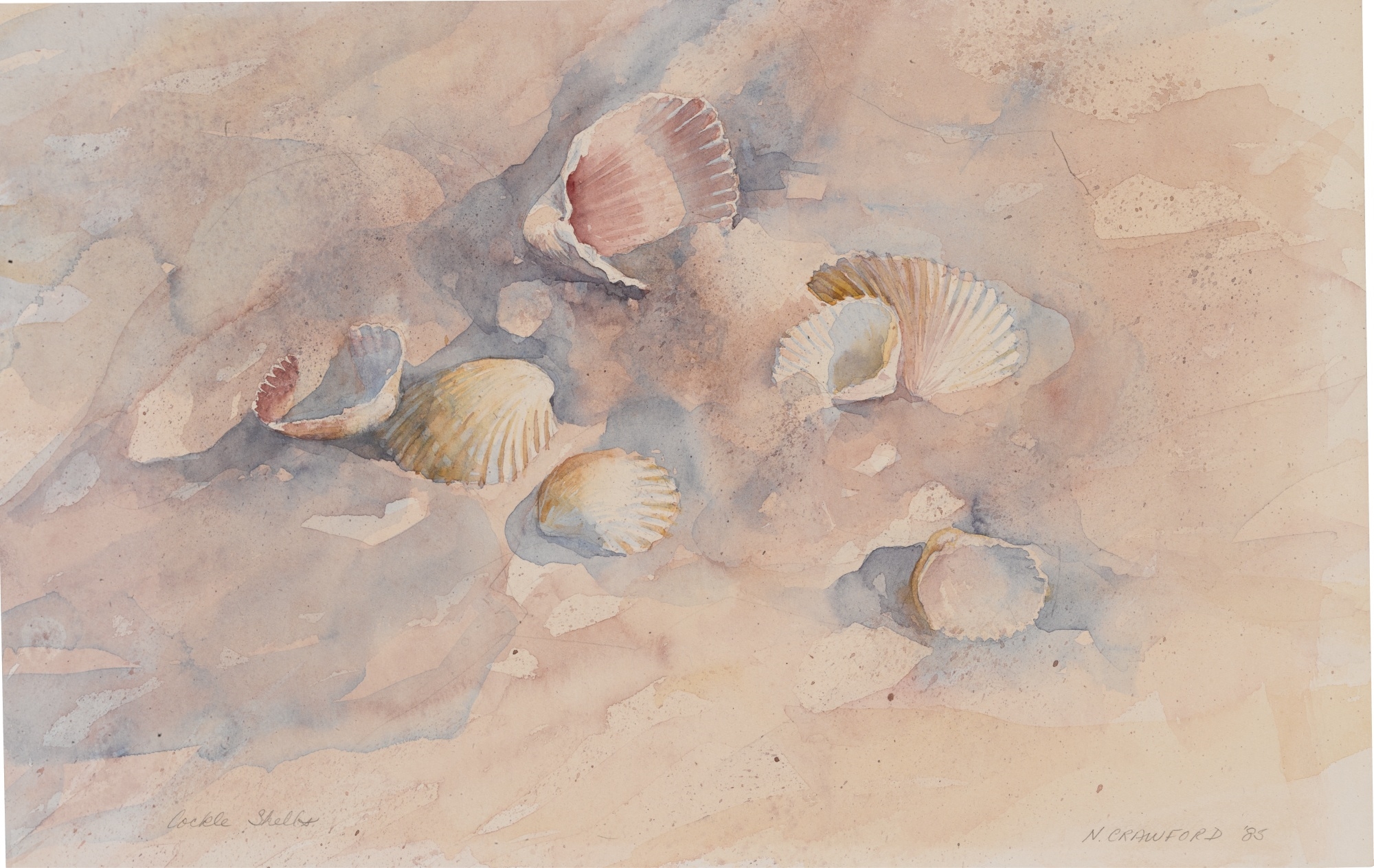 N. Crawford | COCKLE SHELLS (1985) | MutualArt
