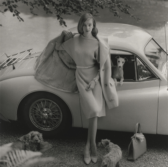 NENA VON SCHLEBRÜGGE WITH DOGS, VOGUE by Norman Parkinson, 2015