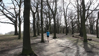 Lynn Dennison: Human Traces - Flowers, New York