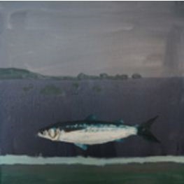 Peter Stevens: Shoal - Australian Galleries, Sydney (Glenmore Rd)