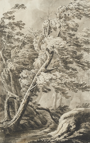 Into the Woods - The Barber Institute of Fine Arts