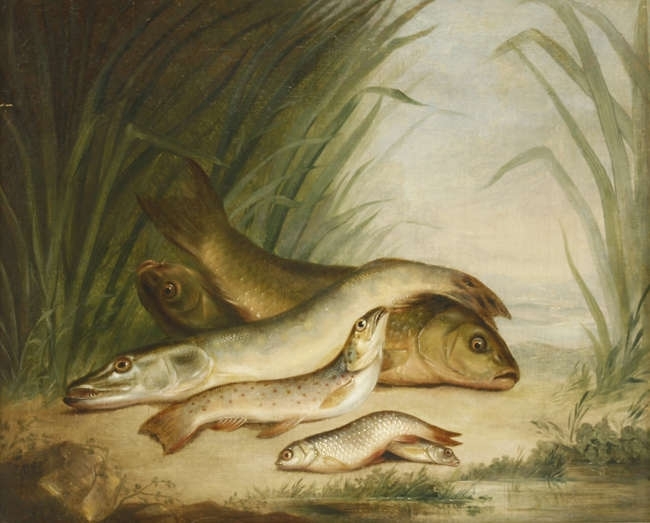 Artwork by J. M. Child, PIKE AND OTHER FISH ON A RIVER BANK, Made of Oil on canvas