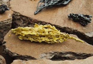 Ceramic - Marcia Wood Gallery