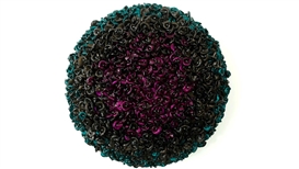 Dani Marti | Black Sun