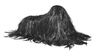 Afghan Hound - Lilibeth Cuenca Rasmussen