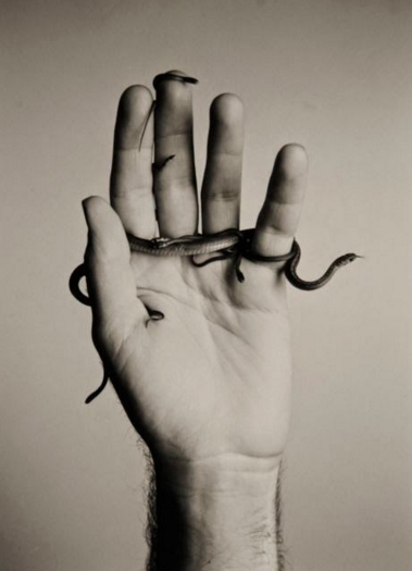 Robert Langham: Blackfork Beastiary - The Old Jail Art Center