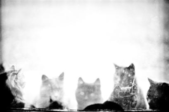 Tournai - Jean Spricigo