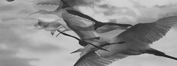 Jenny Kendler: Bewilder, Be Wilder - San Luis Obispo Museum of Art