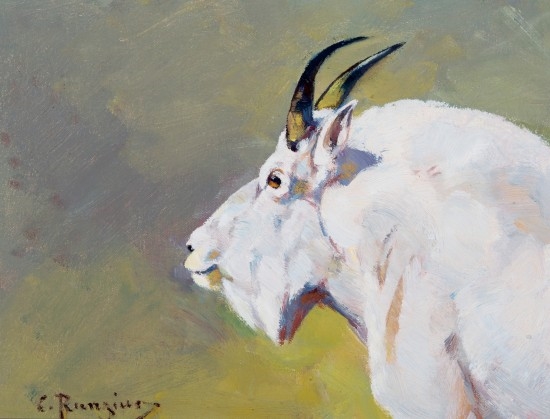 Carl Clemens Moritz Rungius | Mountain Goat | MutualArt