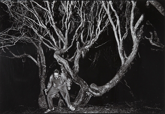 Bill Hammond, Auckland Islands - Lloyd Godman