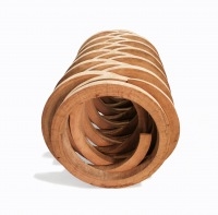 Ye Sen: The Living Wood - Art Experience Gallery