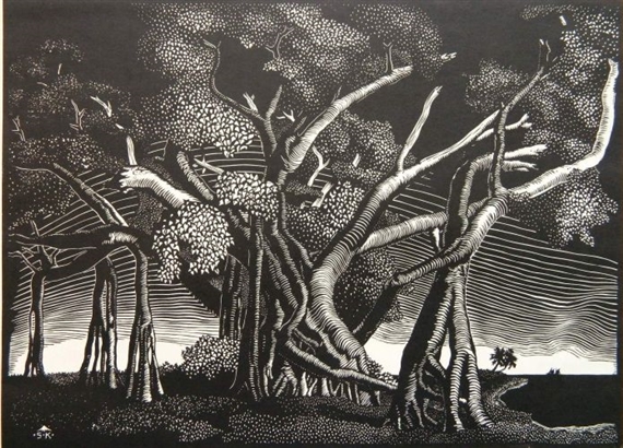 Banyahn Tree by Sheffield Kagy