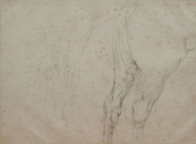 Etude de l'arrière train d'un cheval by Eugène Delacroix