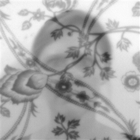 Janine Brown’s Ghostly Pinhole Portrait Series of “Wallflowers”