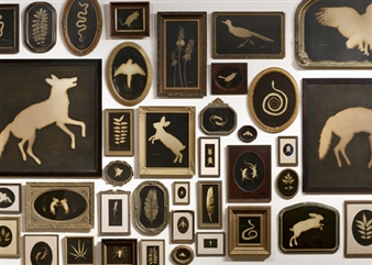 Kate Breakey: Las Sombras/The Shadows - Littlejohn Contemporary, New York