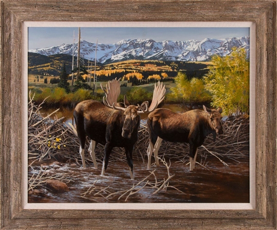 Moose by Tom Beecham