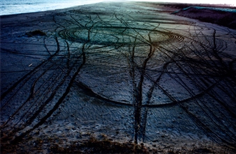 In the Wake: Japanese Photographers Respond to 3/11 - Japan Society Gallery