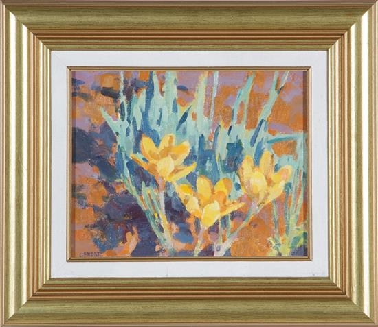 Yellow Crocus - Leslie Frontz