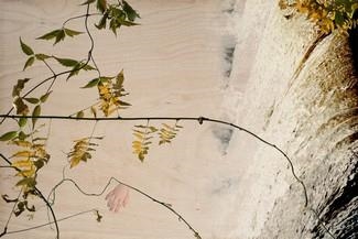 Teresa Chen: Ambivalence - Galerie Bob Gysin