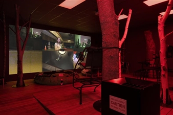 Lizzie Fitch / Ryan Trecartin - Andrea Rosen Gallery