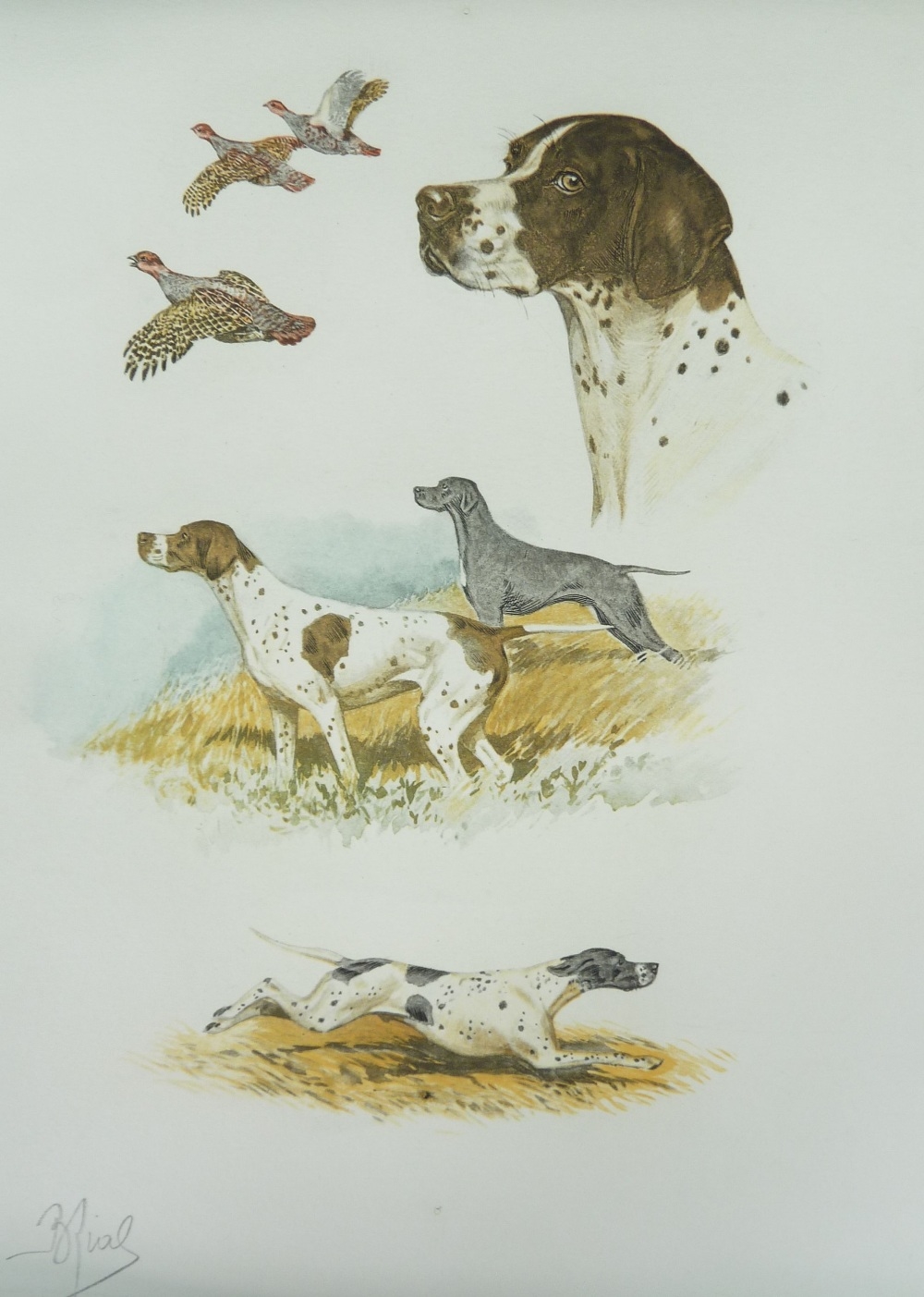 Boris Riab | 4 Works: Studies of Dogs and Game | MutualArt