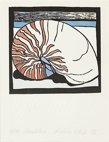 Nautilus by Robin White, 1985
