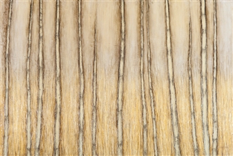 A vertical composition of textured, golden-hued lines resembling birch bark or wood grain.