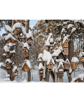 Birdhouses - Anastasia Rudenko