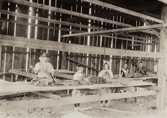 Interior of Tobacco Shed, Hawthorn Farm