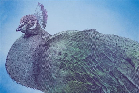 Olympeacock III by Kamil Kmiecik, 2015