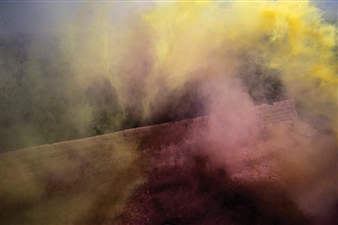 Two Canadian Artists Win Guggenheim Fellowships