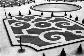 PARTERRE DE L'ORANGERIE, VERSAILLES - Anna Vivante