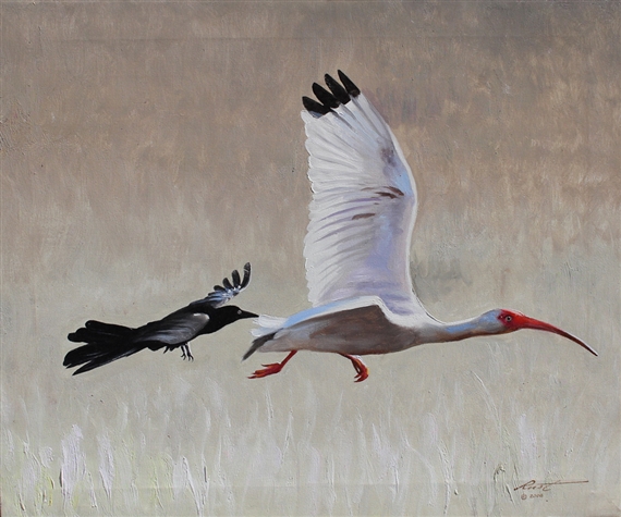 Donald Rust | Crow Chasing an Ibis (2008) | MutualArt