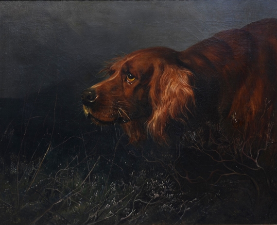 Nemo, An Irish Setter by George Earl
