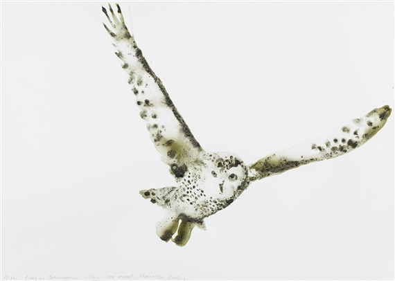 Alexis Rockman: A Natural History of New York City - Salon 94 (94th St)