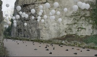 Mehdi Meddaci: Se frotter les yeux - Galerie Odile Ouizeman