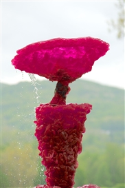 10 Exhibitions Opening This Week